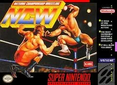 Carátula de Natsume Championship Wrestling