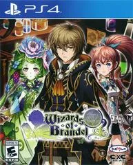 Carátula de Wizards of Brandel