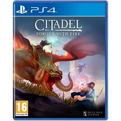 Carátula de Citadel: Forged With Fire
