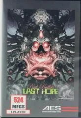 Carátula de Last Hope: Pink Bullets