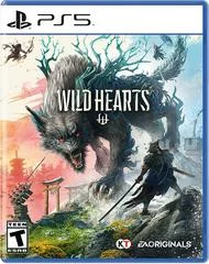Carátula de Wild Hearts