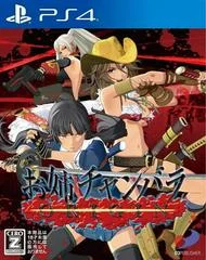 Carátula de Onechanbara Origin