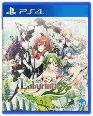 Carátula de Labyrinth Life