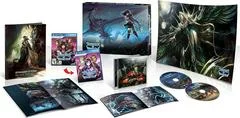 Carátula de Stranger of Sword City [Limited Edition]