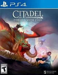 Carátula de Citadel: Forged with Fire