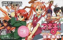 Carátula de Mahou Sensei Negima! Private Lesson: Dame Desu Toshokan