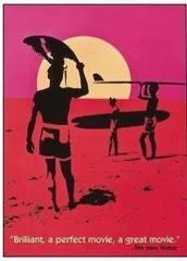 Carátula de The Endless Summer [UMD]